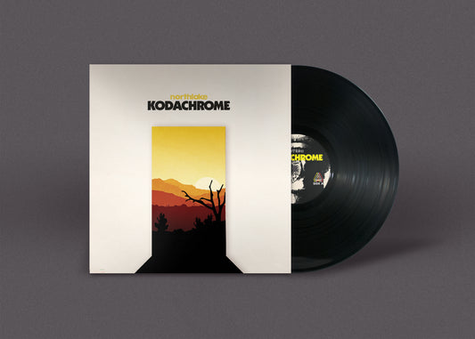 KODACHROME 10" VINYL